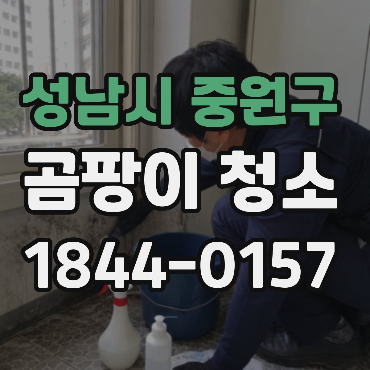 성남시 중원구 곰팡이 청소