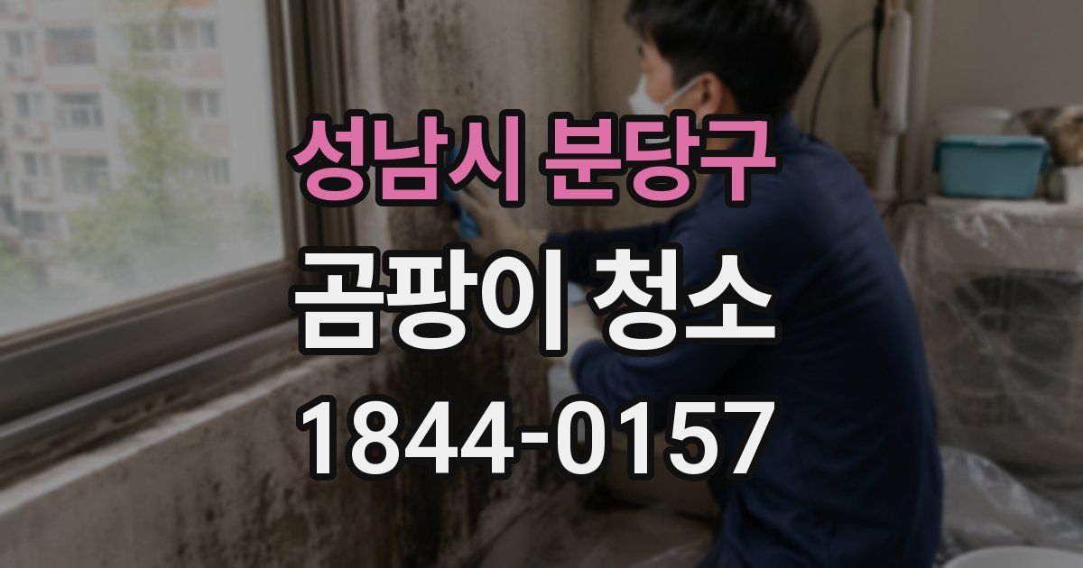 성남시 분당구 곰팡이 청소