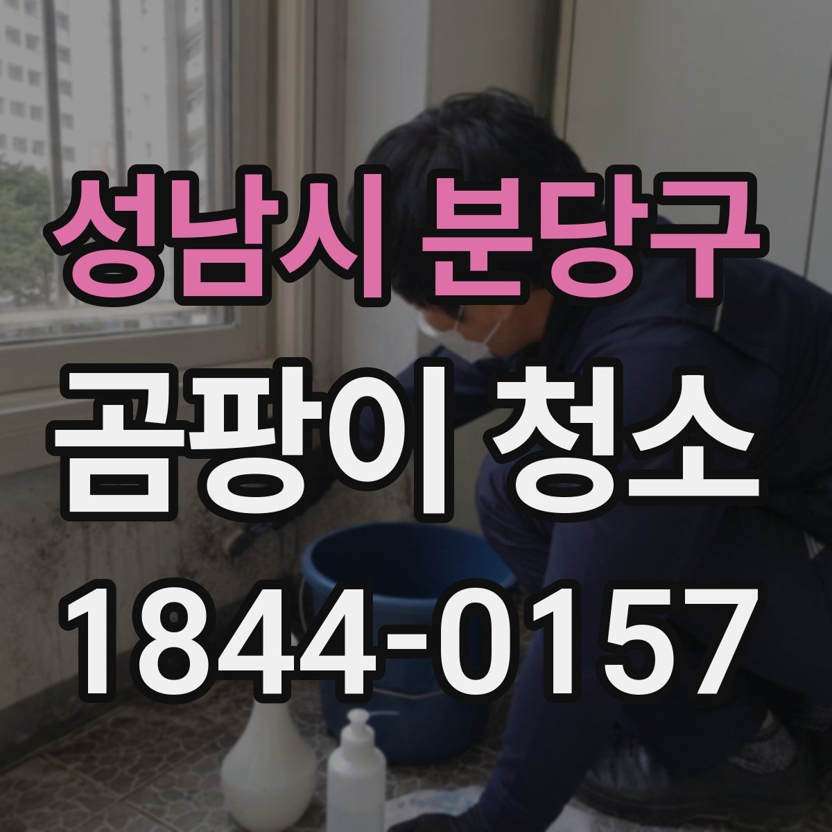 성남시 분당구 곰팡이 청소