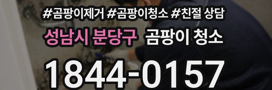 성남시 분당구 곰팡이 청소
