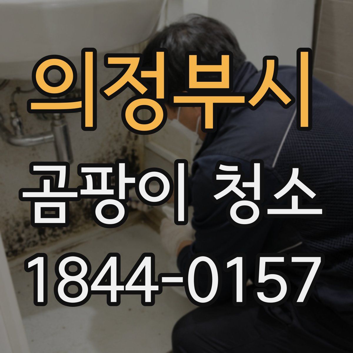 의정부시 곰팡이 청소