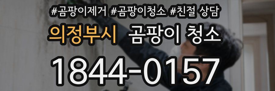 의정부시 곰팡이 청소
