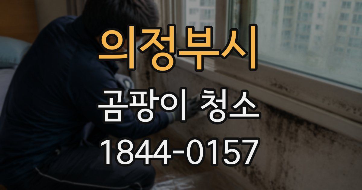 의정부시 곰팡이 청소