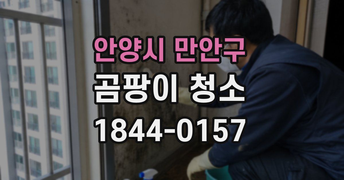 안양시 만안구 곰팡이 청소