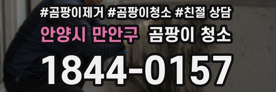 안양시 만안구 곰팡이 청소