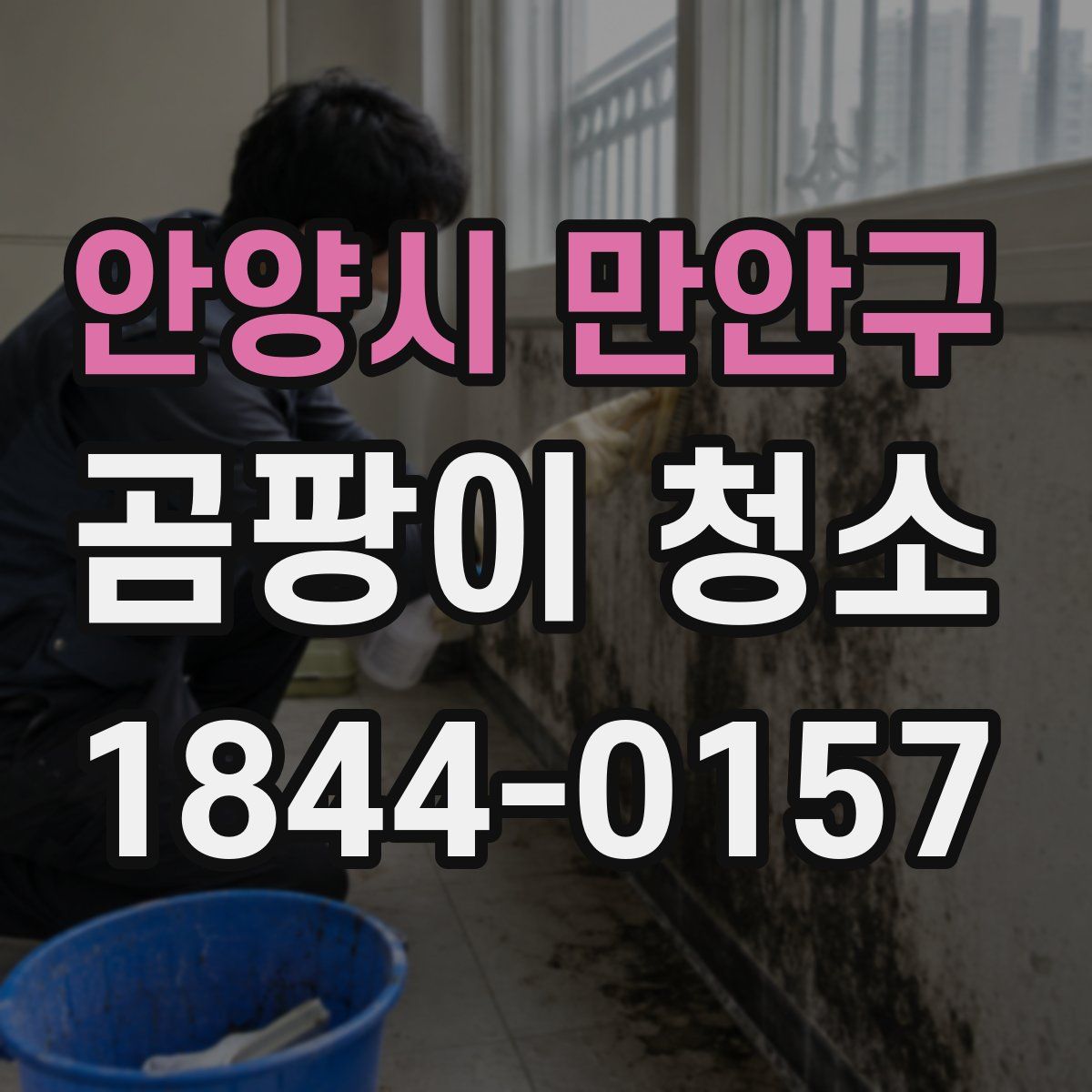 안양시 만안구 곰팡이 청소