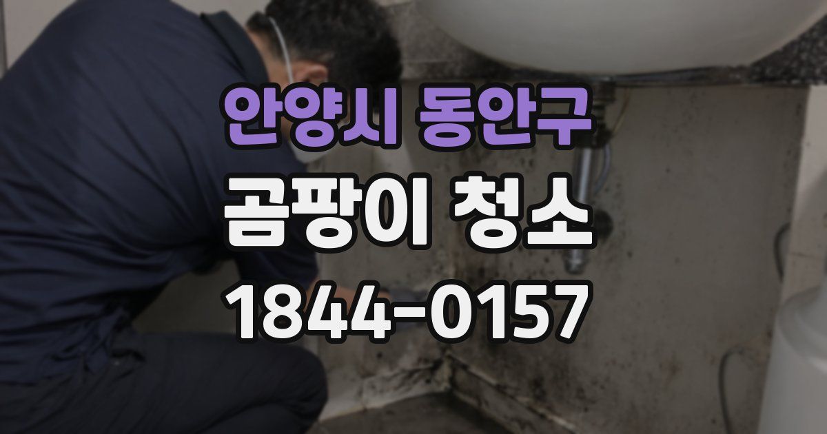 안양시 동안구 곰팡이 청소