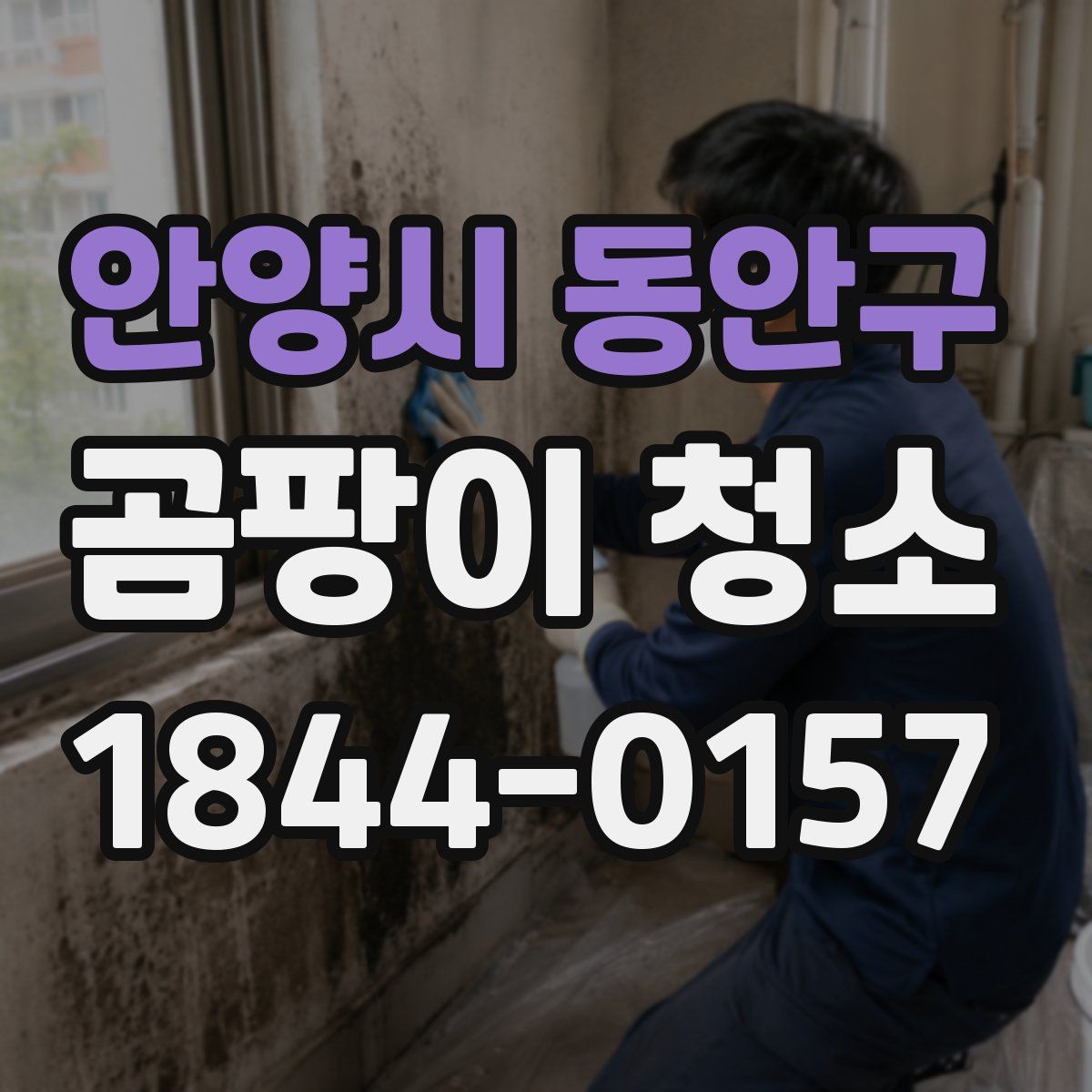 안양시 동안구 곰팡이 청소