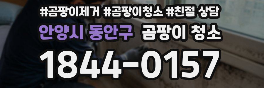 안양시 동안구 곰팡이 청소