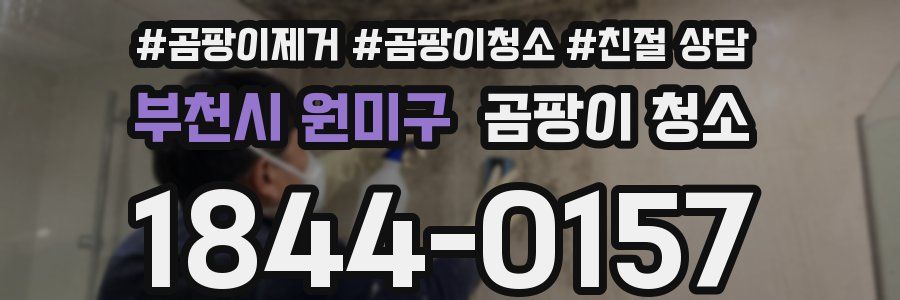 부천시 원미구 곰팡이 청소