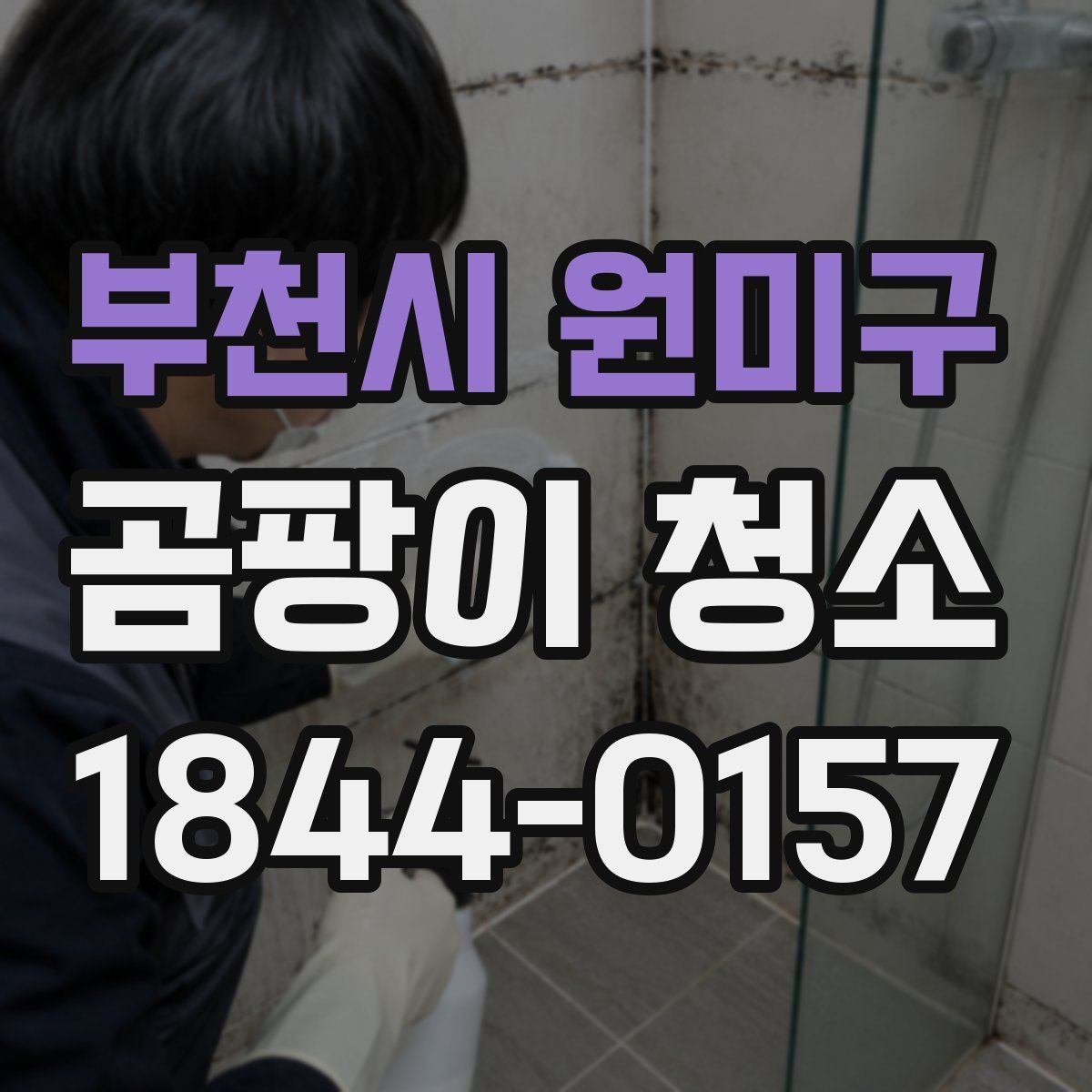 부천시 원미구 곰팡이 청소