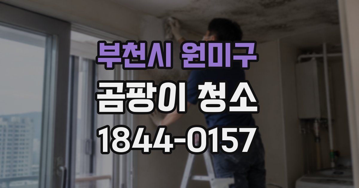 부천시 원미구 곰팡이 청소