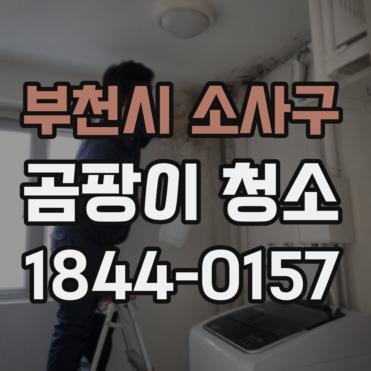 부천시 소사구 곰팡이 청소