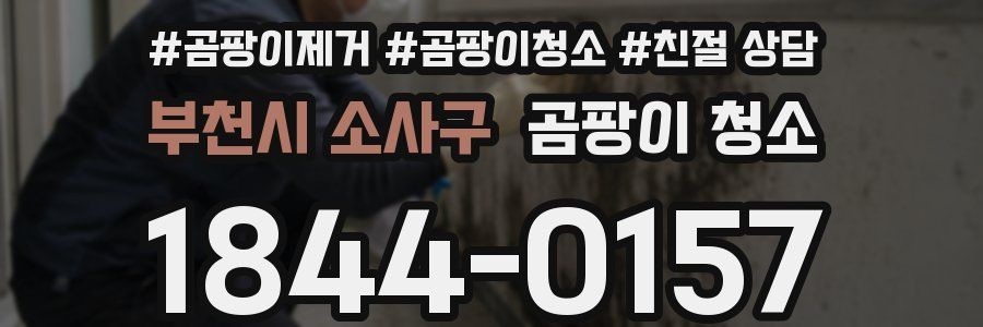 부천시 소사구 곰팡이 청소