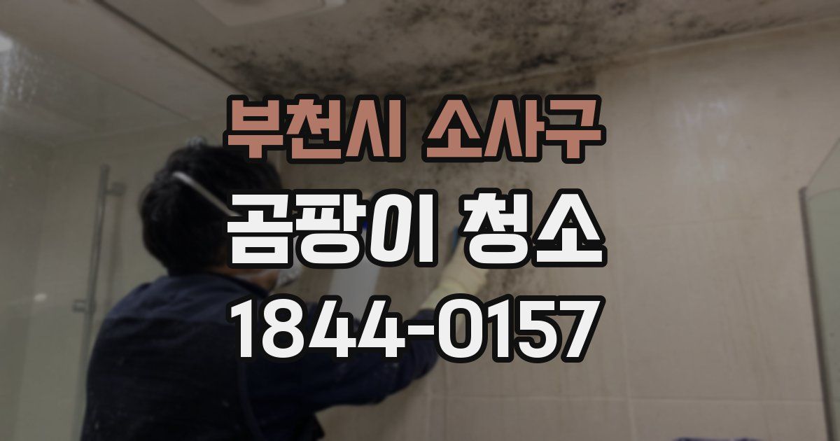 부천시 소사구 곰팡이 청소