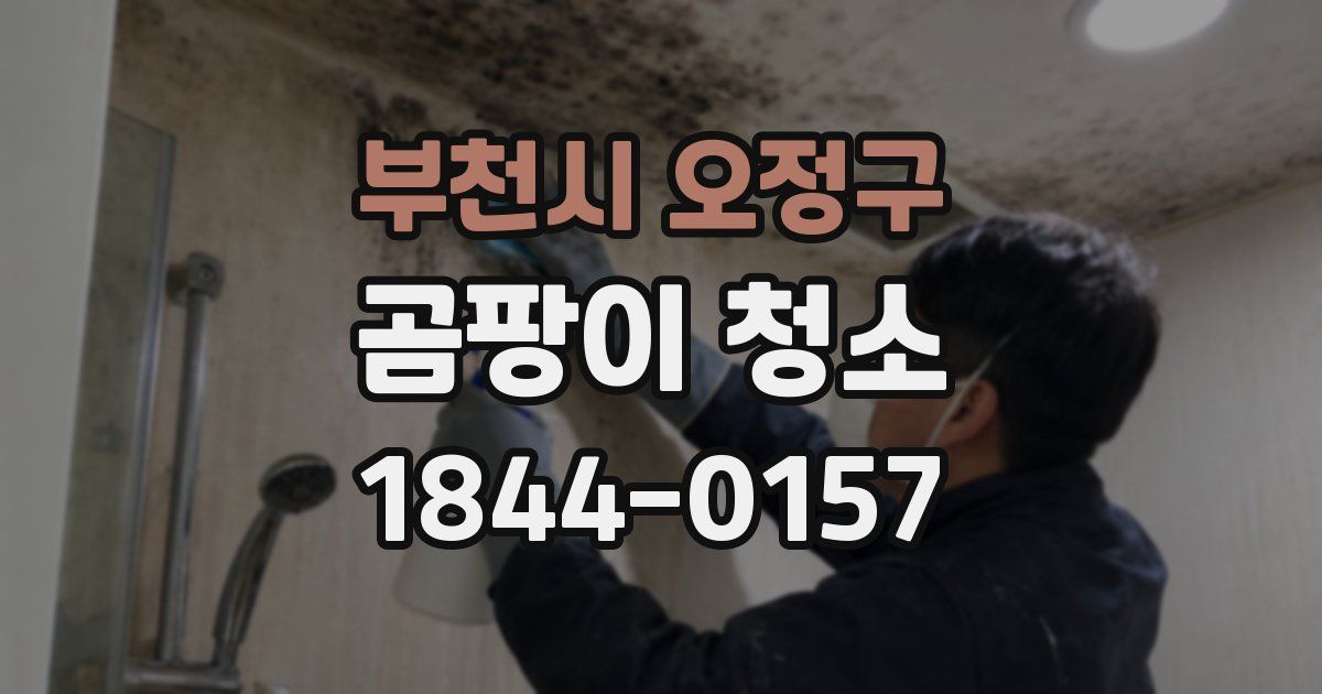 부천시 오정구 곰팡이 청소