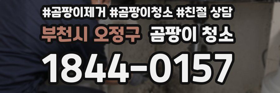 부천시 오정구 곰팡이 청소