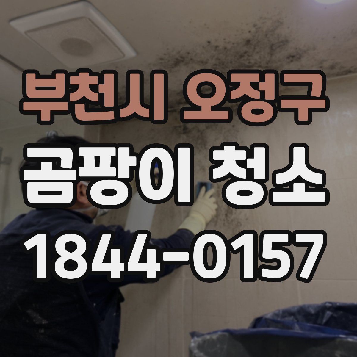 부천시 오정구 곰팡이 청소