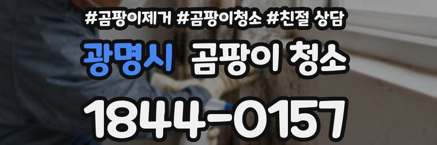 광명시 곰팡이 청소
