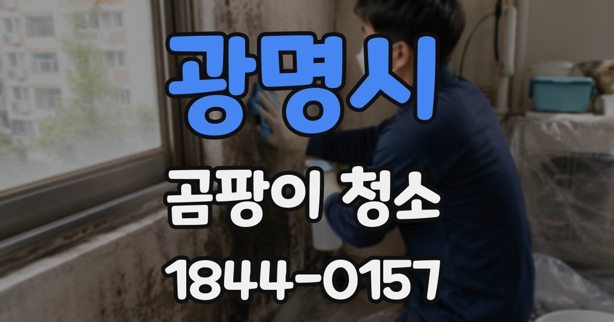 광명시 곰팡이 청소