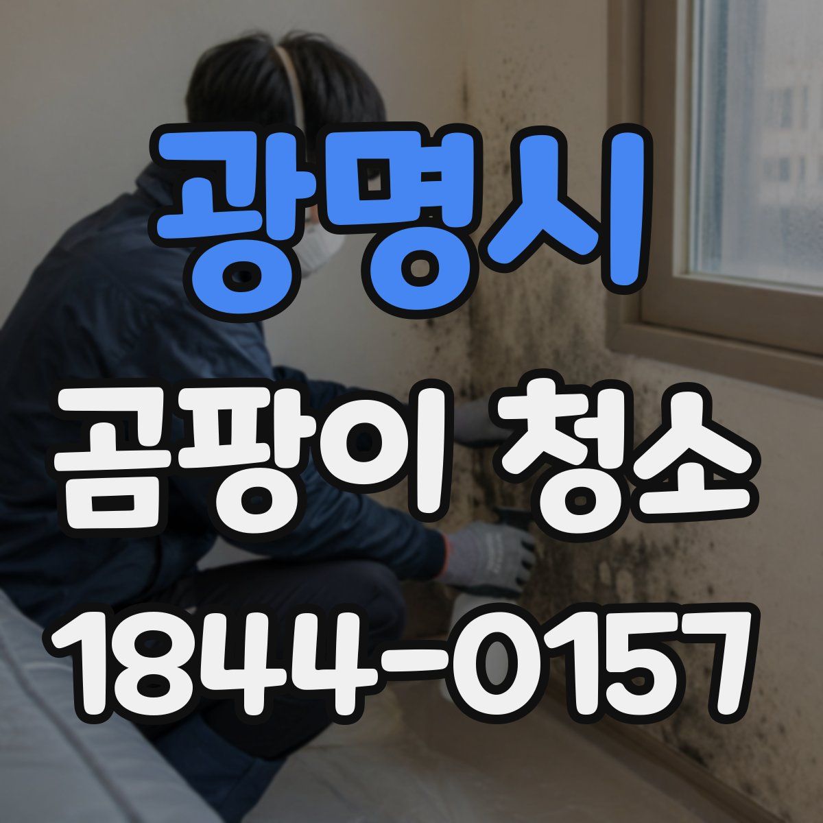 광명시 곰팡이 청소