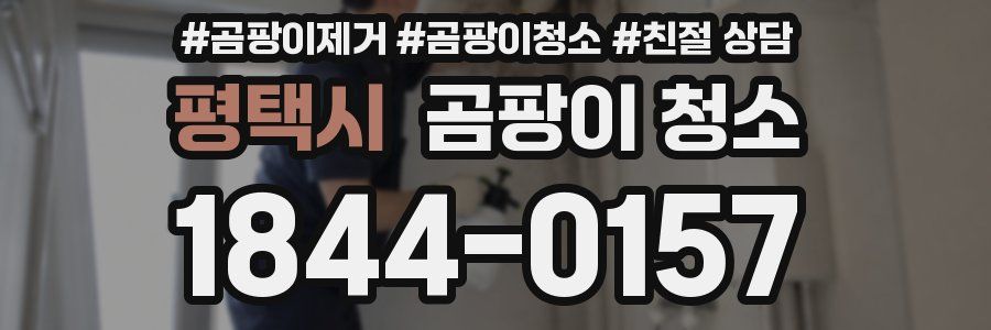 평택시 곰팡이 청소