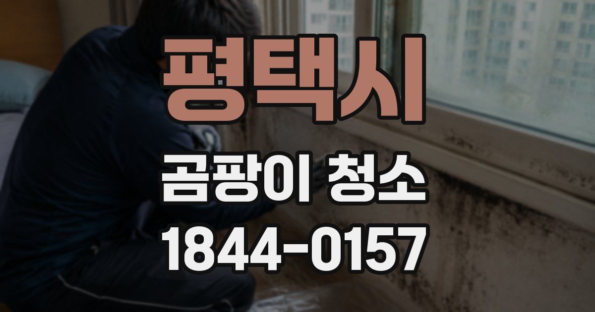 평택시 곰팡이 청소