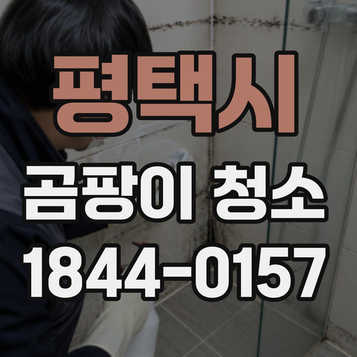 평택시 곰팡이 청소