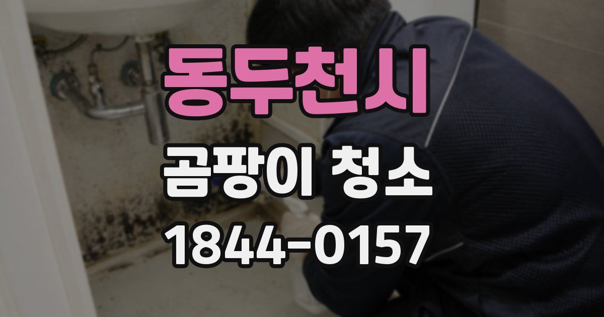 동두천시 곰팡이 청소