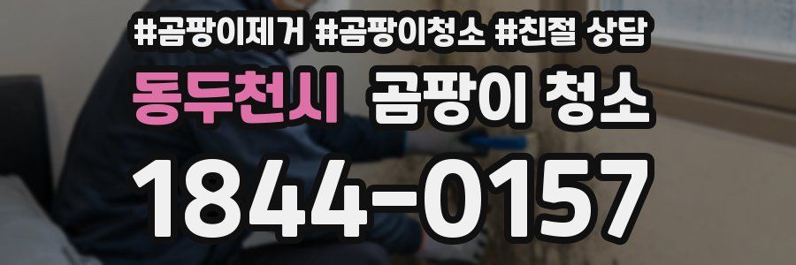 동두천시 곰팡이 청소