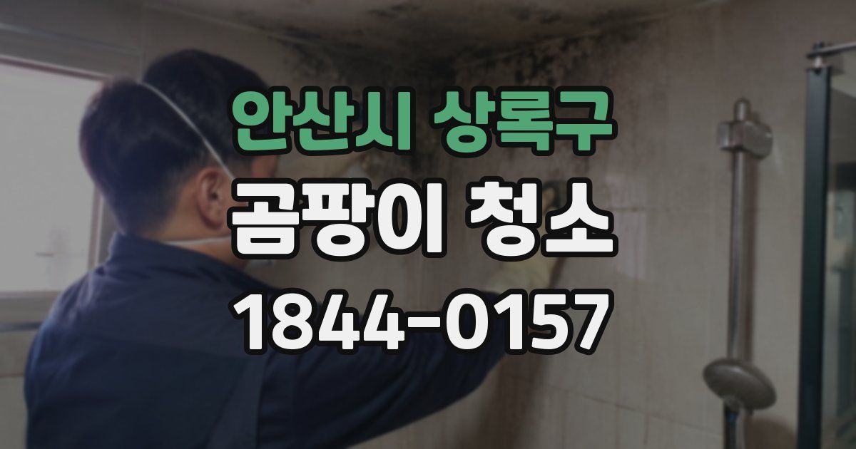 안산시 상록구 곰팡이 청소