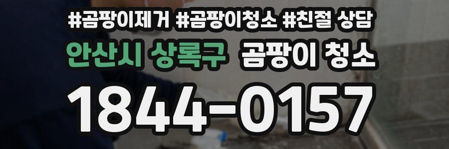 안산시 상록구 곰팡이 청소