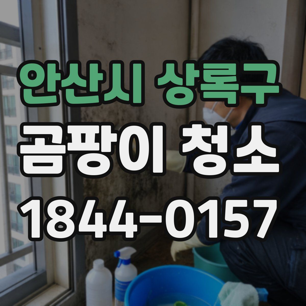 안산시 상록구 곰팡이 청소
