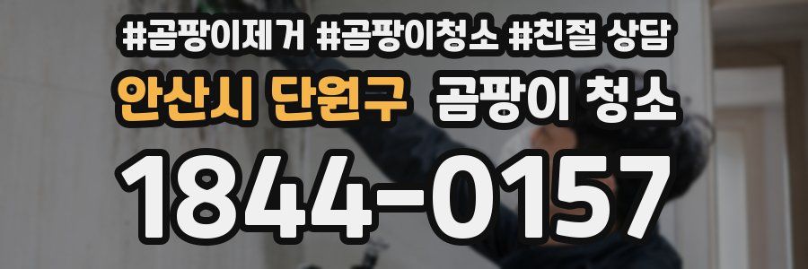 안산시 단원구 곰팡이 청소