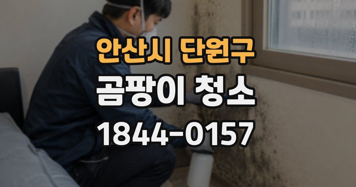 안산시 단원구 곰팡이 청소