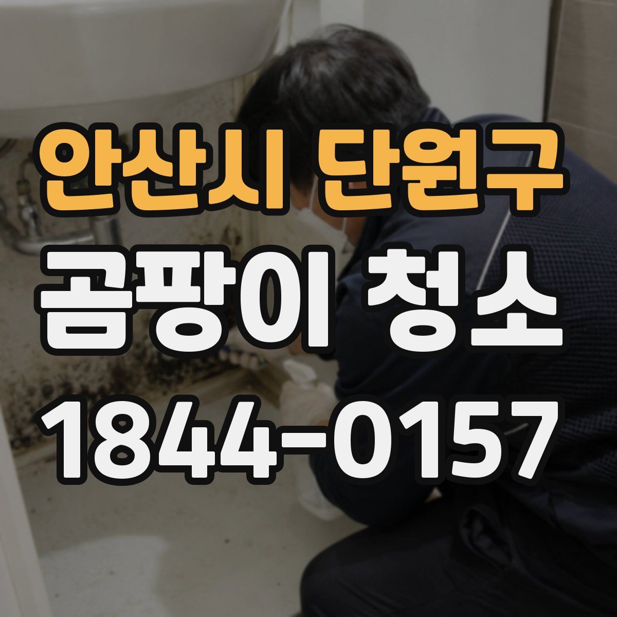 안산시 단원구 곰팡이 청소