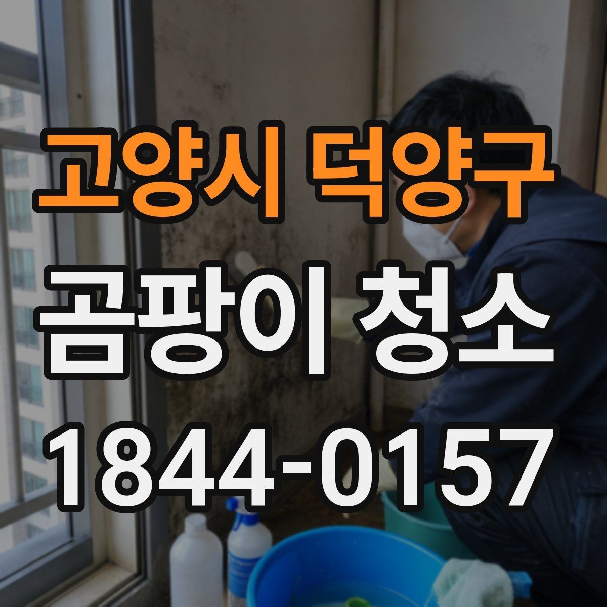 고양시 덕양구 곰팡이 청소 진행 순서와 현장 점검 방법
