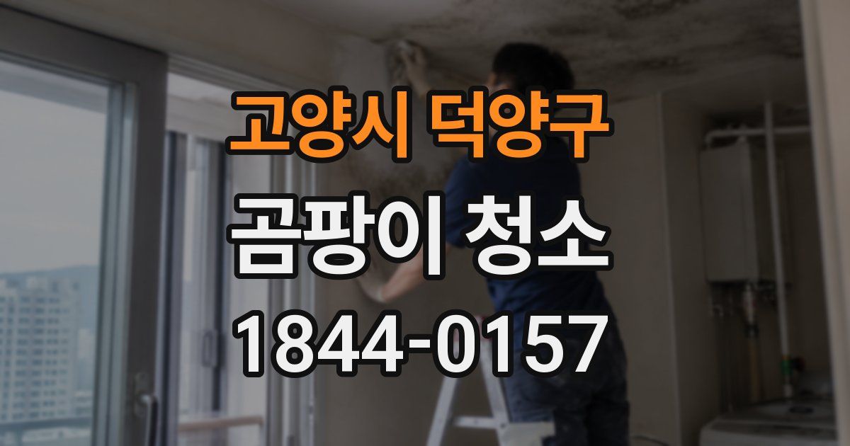 고양시 덕양구 곰팡이 청소