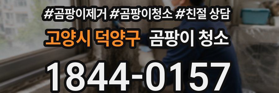 고양시 덕양구 곰팡이 청소