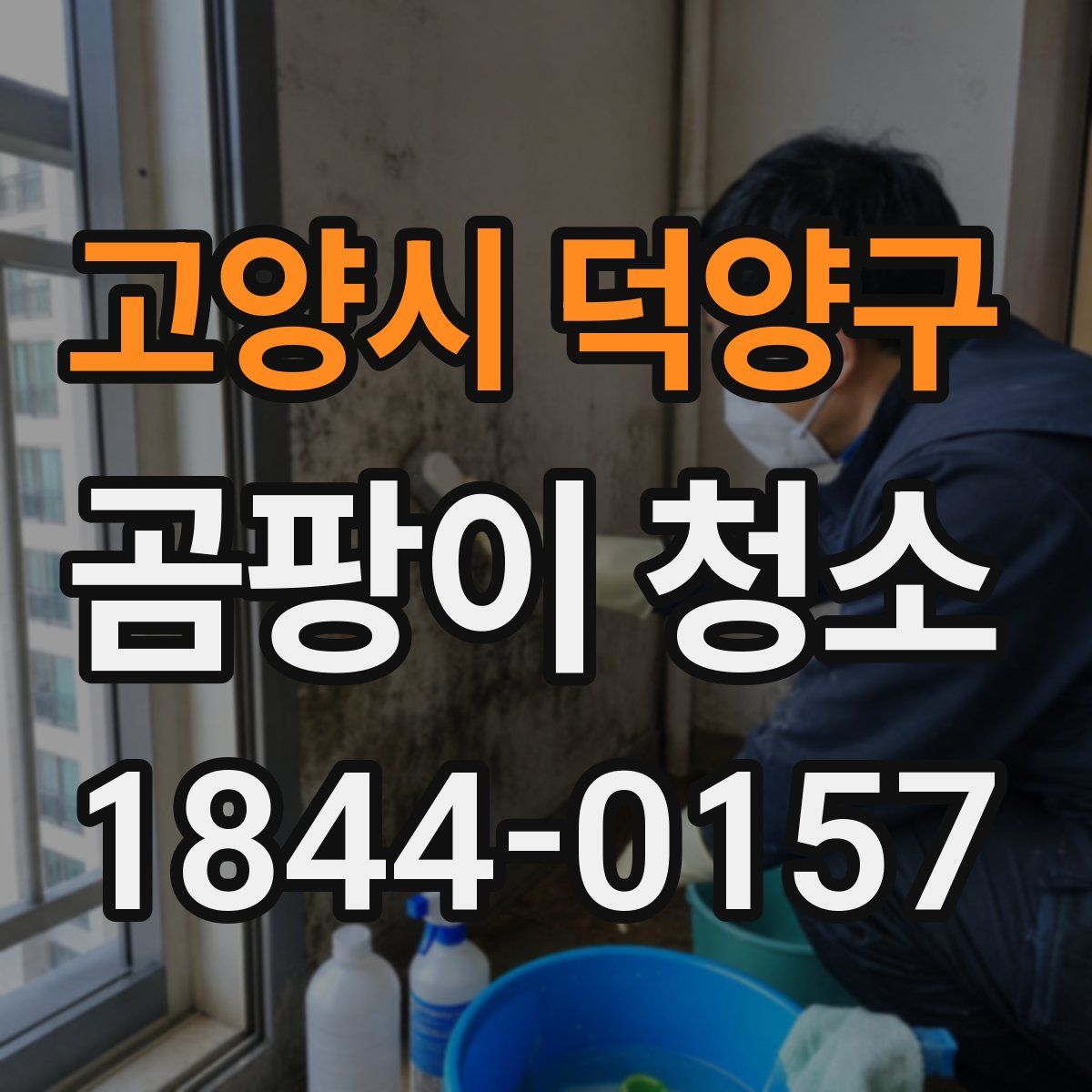고양시 덕양구 곰팡이 청소
