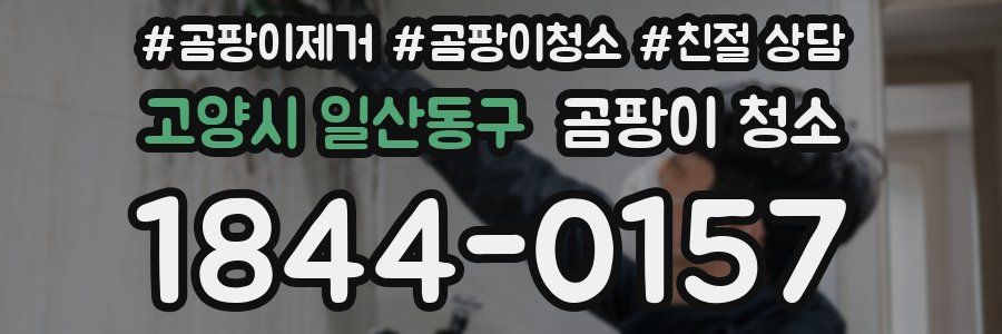 고양시 일산동구 곰팡이 청소