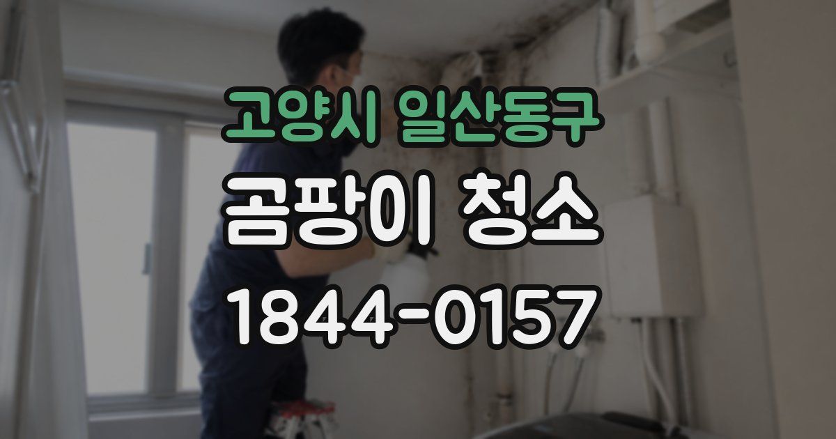 고양시 일산동구 곰팡이 청소