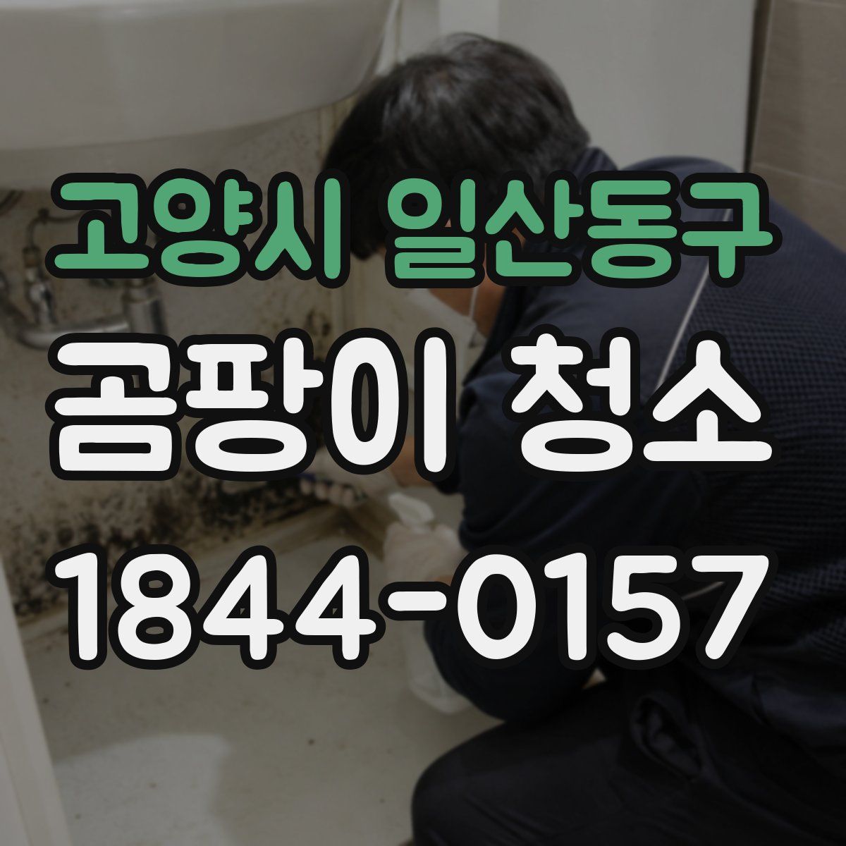 고양시 일산동구 곰팡이 청소
