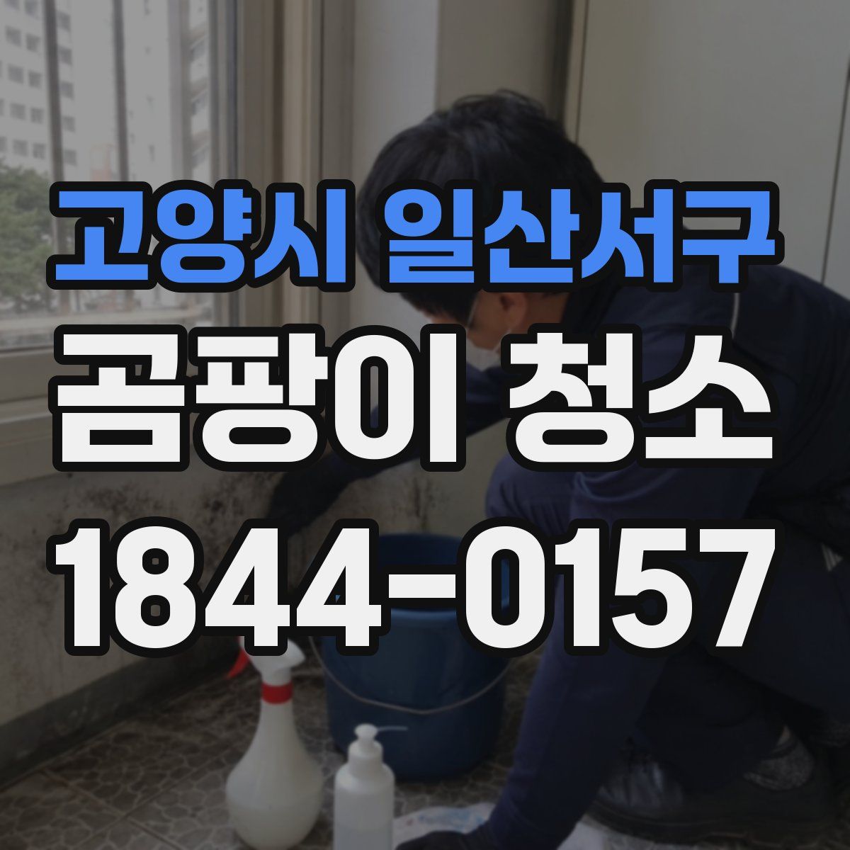 고양시 일산서구 곰팡이 청소