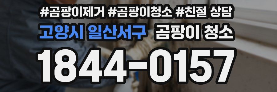 고양시 일산서구 곰팡이 청소