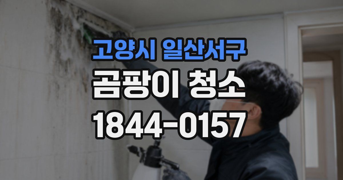 고양시 일산서구 곰팡이 청소
