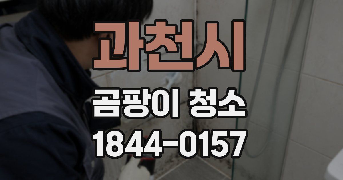 과천시 곰팡이 청소