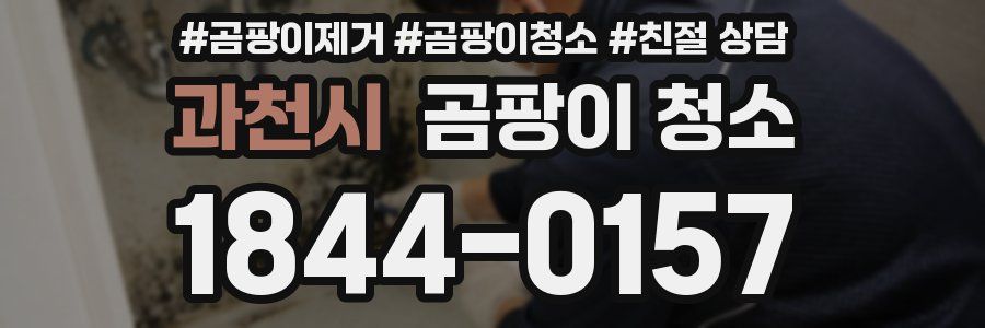 과천시 곰팡이 청소