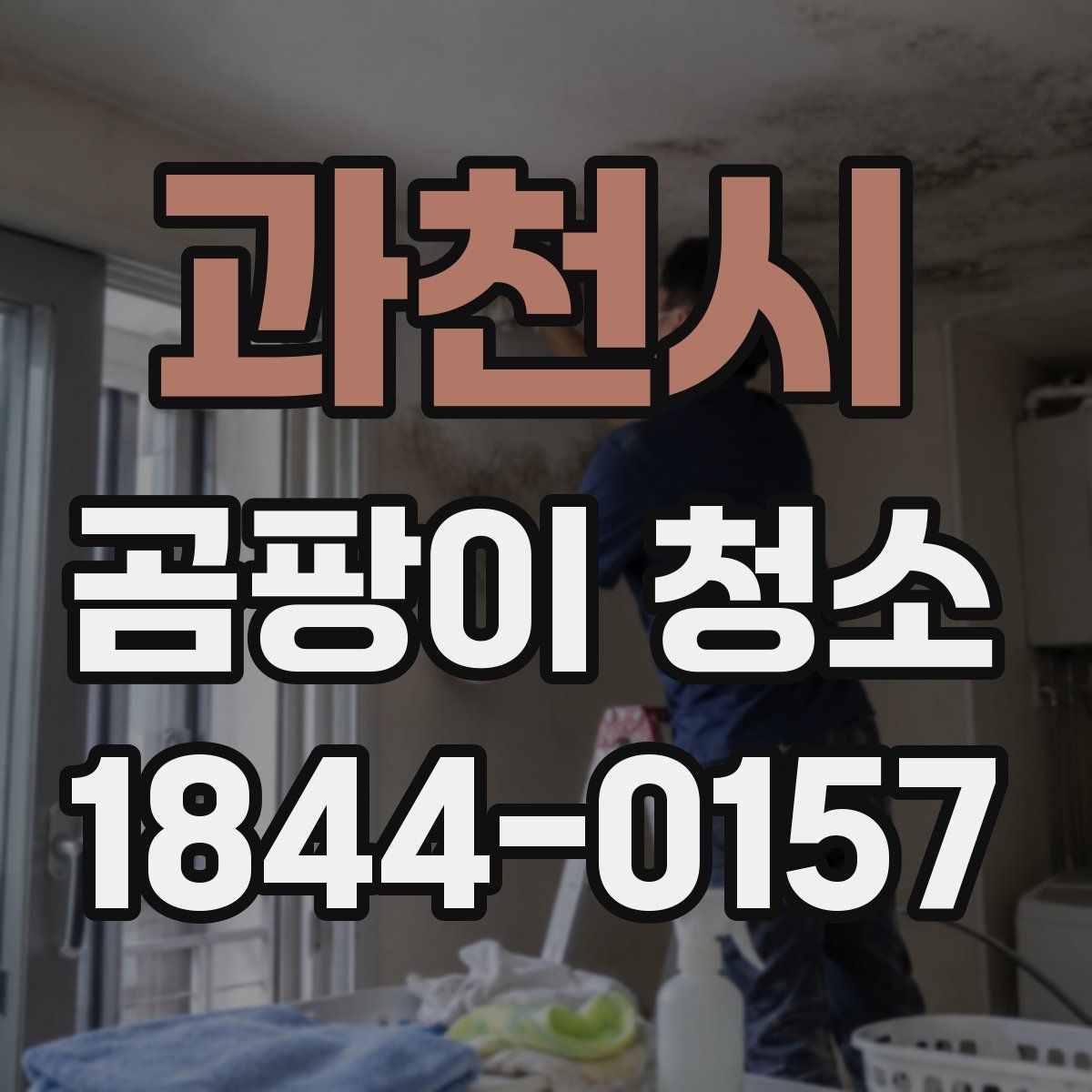 과천시 곰팡이 청소