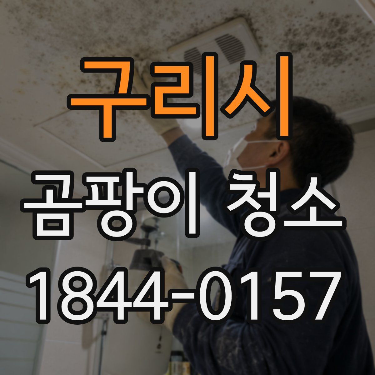 구리시 곰팡이 청소